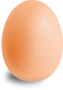 Egg bulletpoint- No background